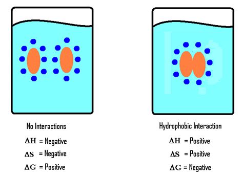 hydrophobicity|hydrophobicity in chemicals.